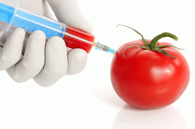 tomato-shopped